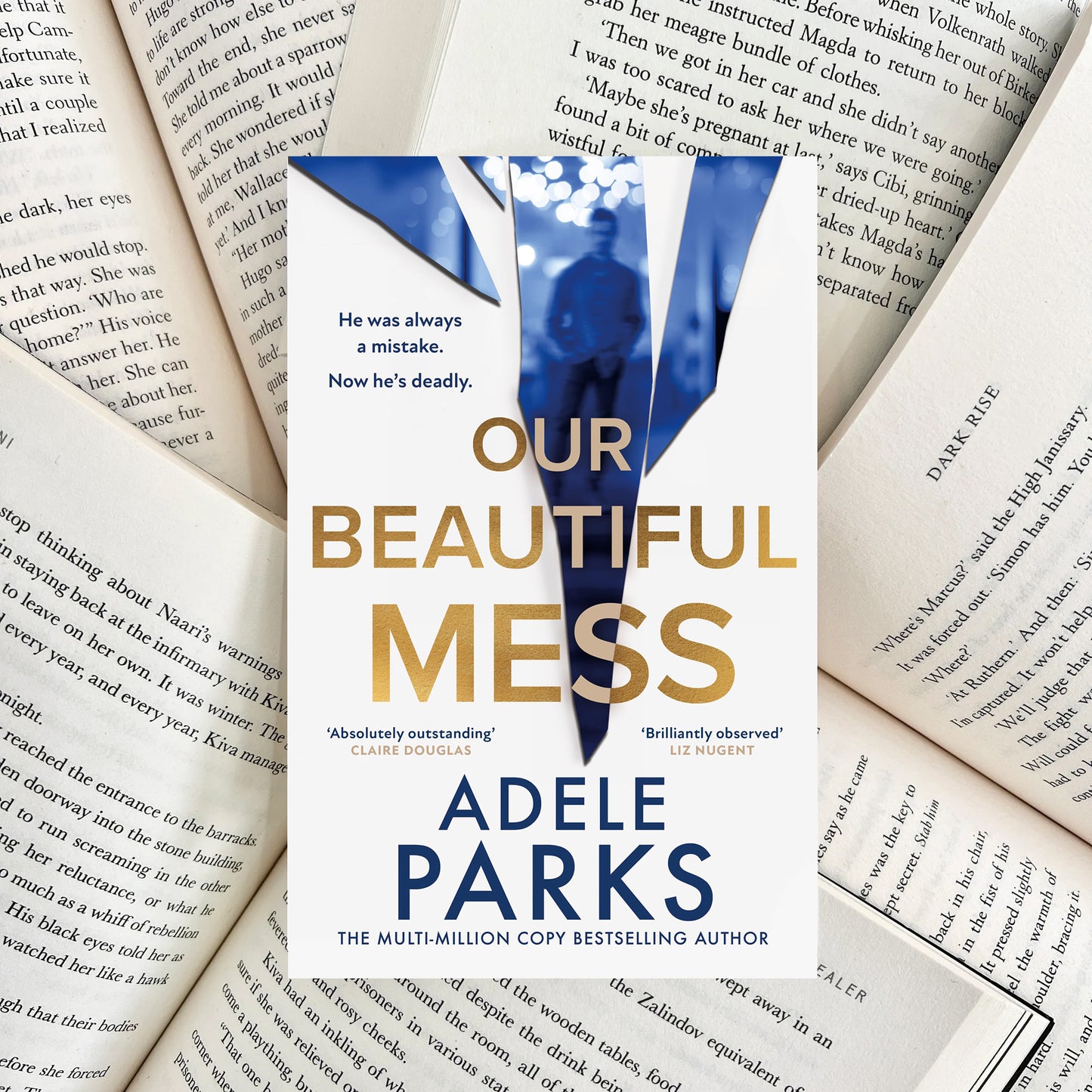 Our Beautiful Mess By Adele Parks (NEW) - The Albright Library