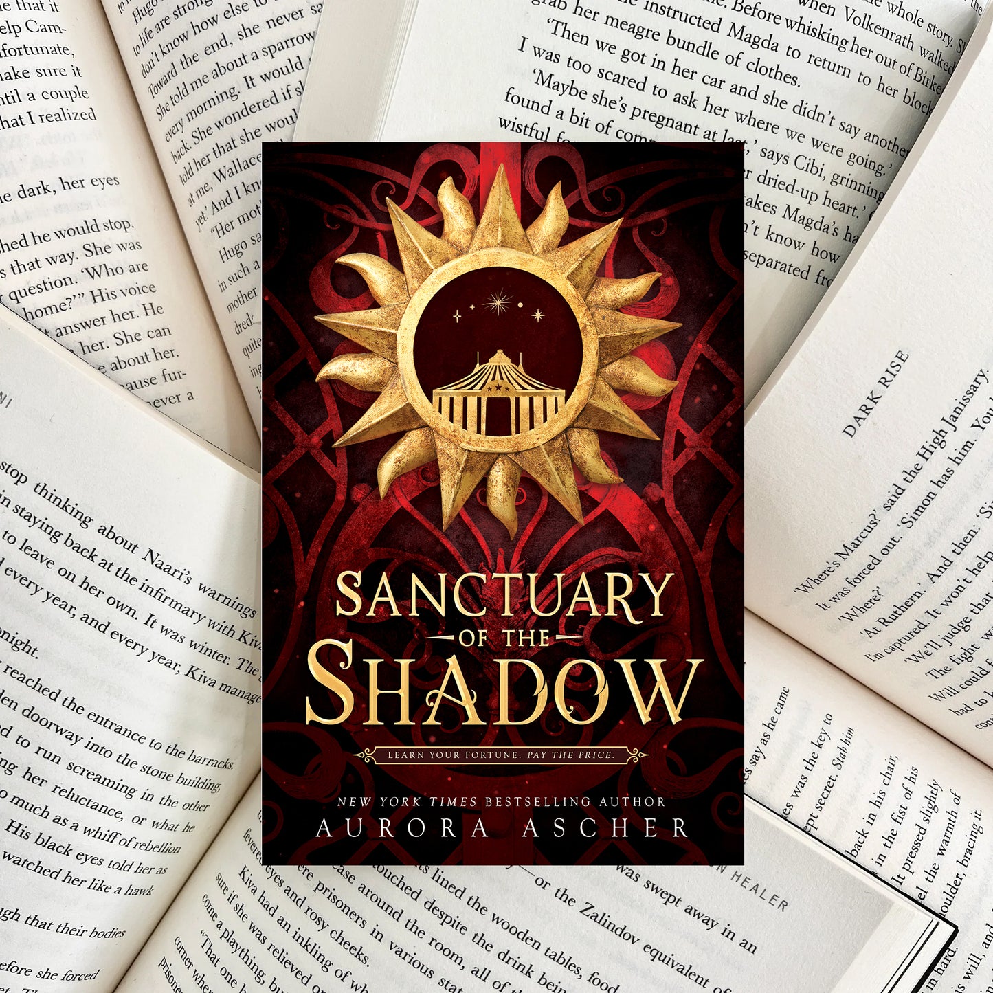 Sanctuary of the Shadow By Aurora Ascher (NEW)