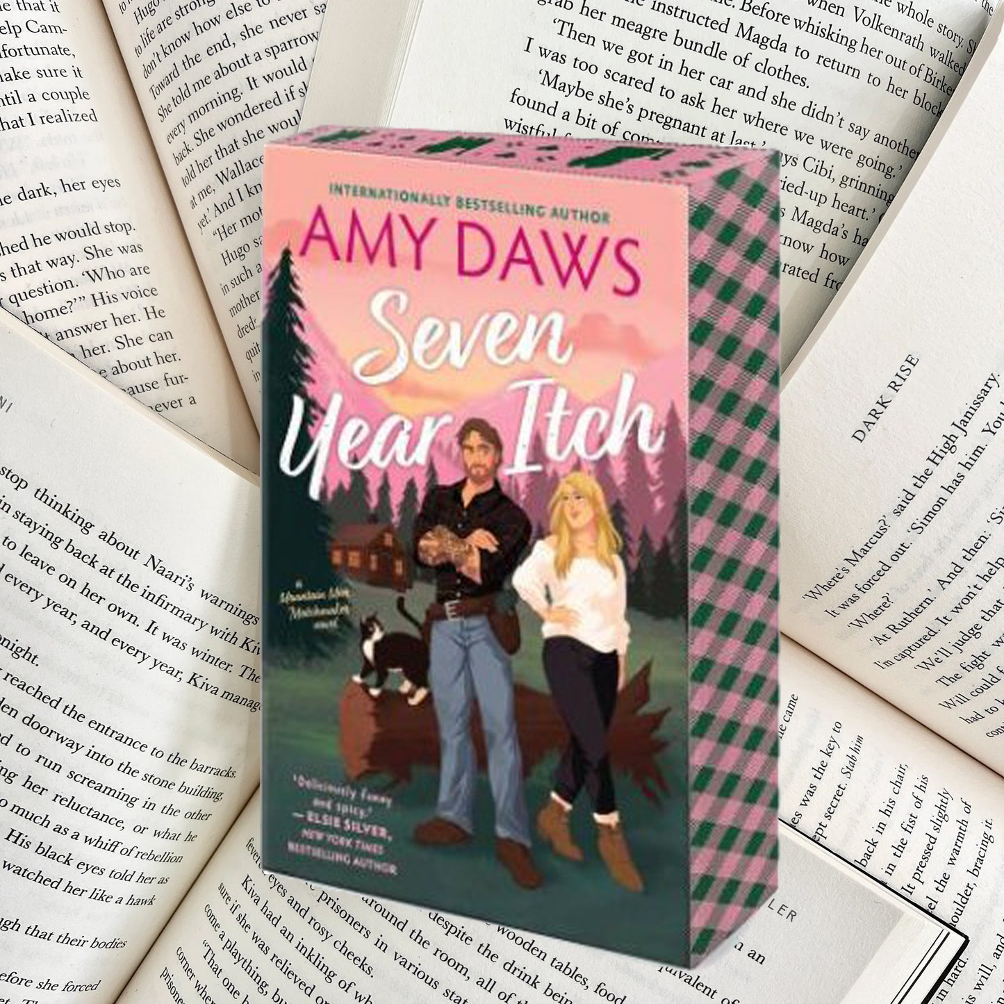 Seven Year Itch Amy Daws SPECIAL EDITION (NEW) - The Albright Library