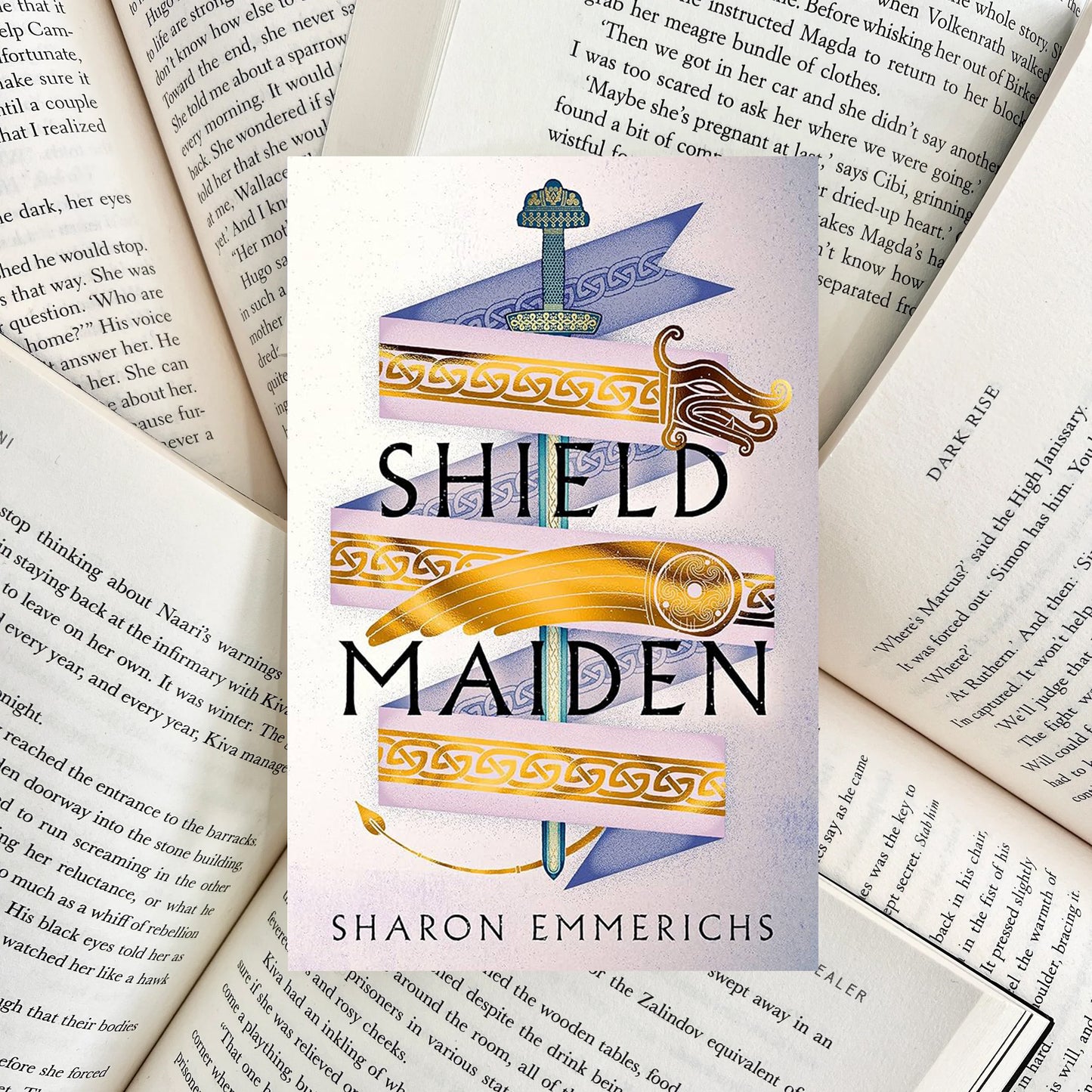 Shield Maiden By Sharon Emmerichs (SECOND-HAND) - The Albright Library