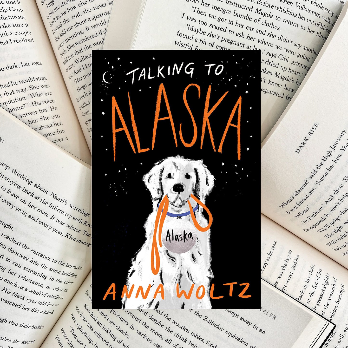 Talking to Alaska By Anna Woltz (NEW)