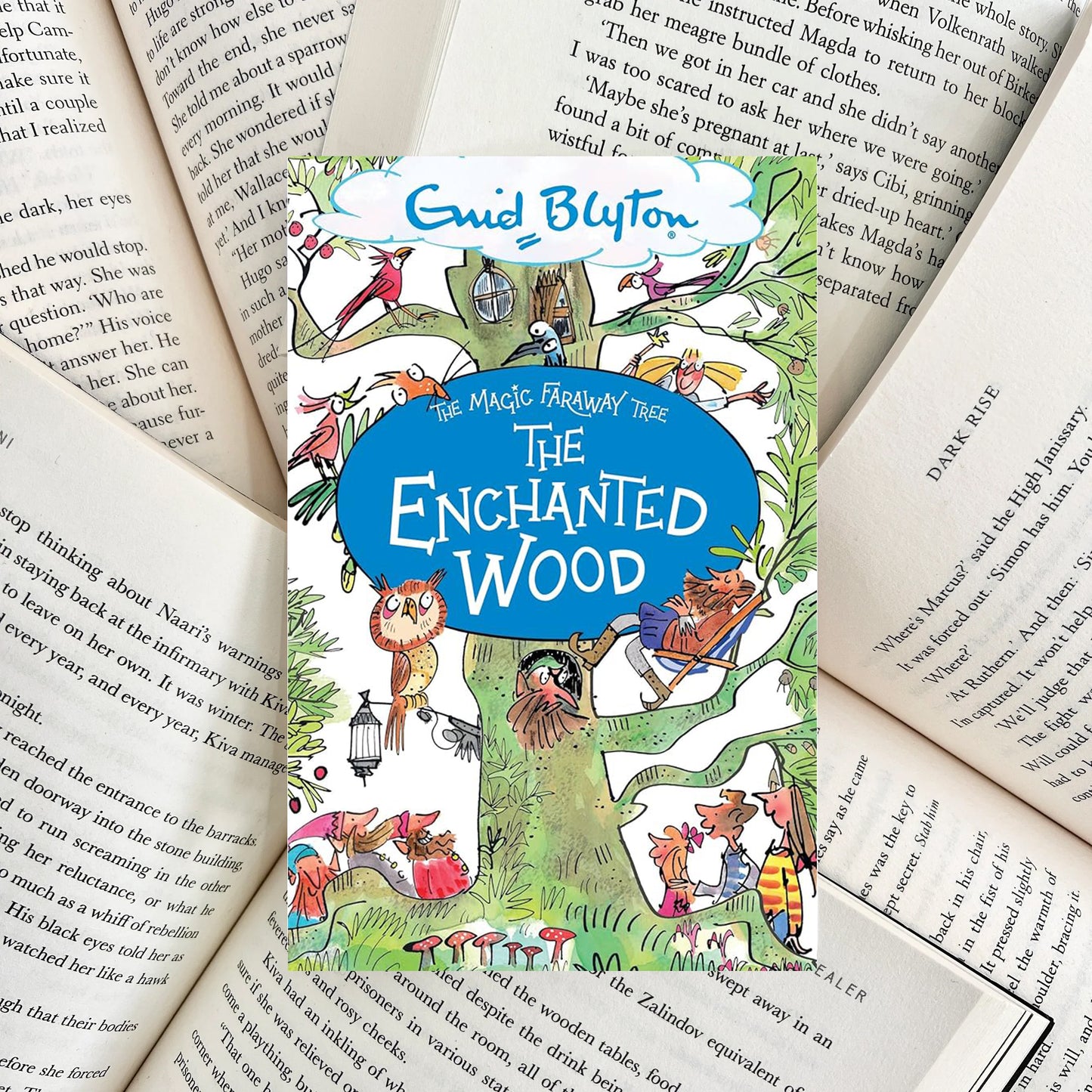 The Enchanted Wood By Enid Blyton (NEW) - The Albright Library
