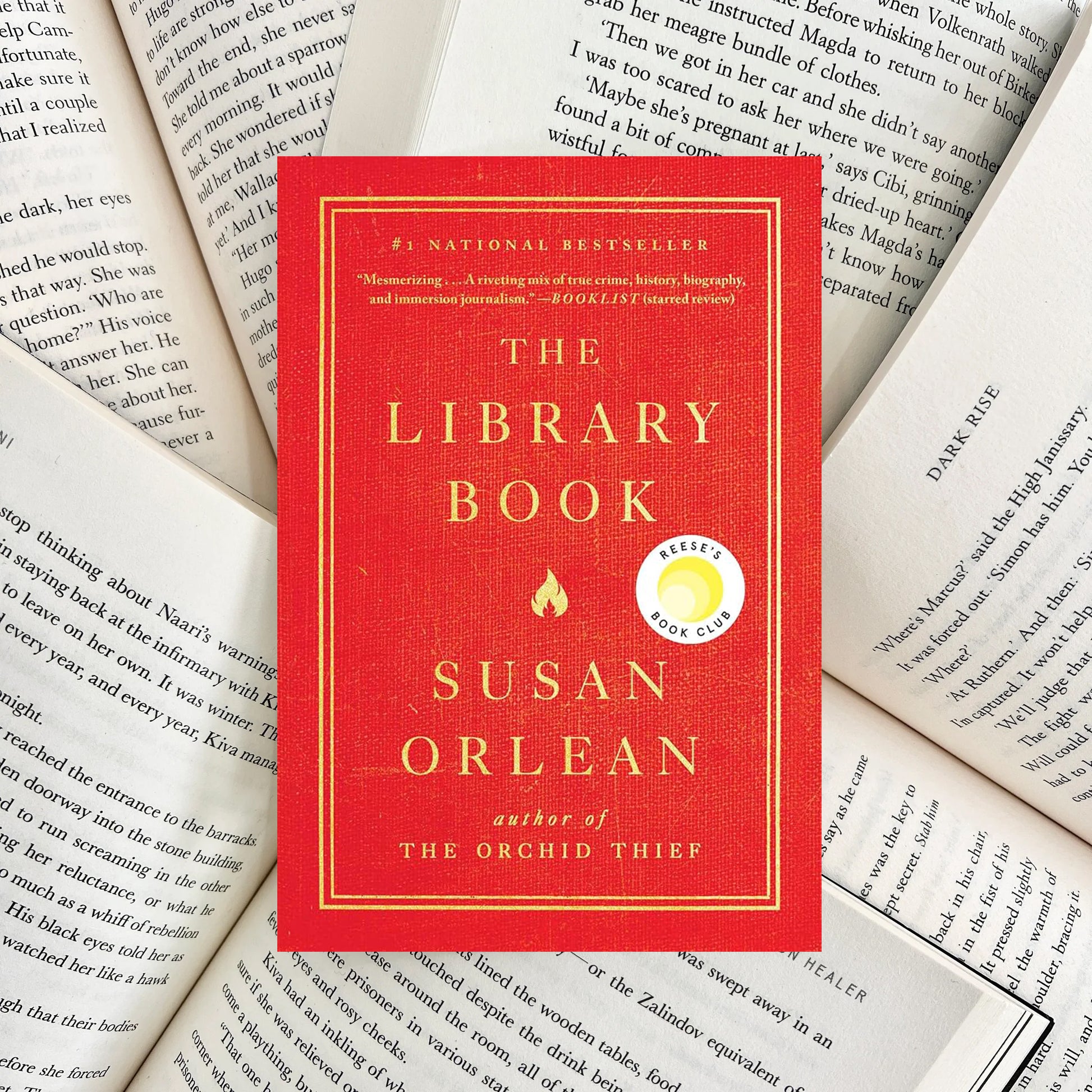 The Library Book By Susan Orlean (SECOND-HAND) - The Albright Library