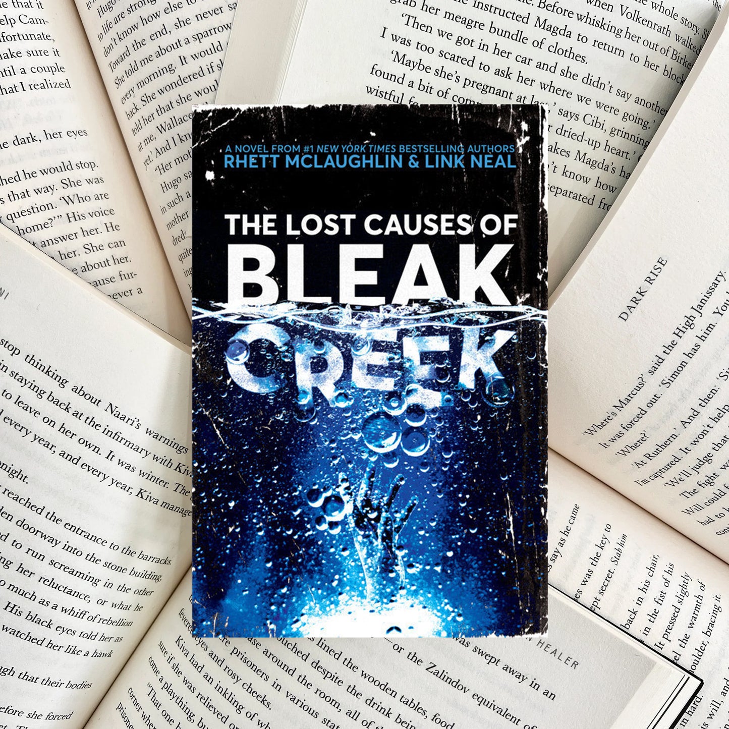 The Lost Causes of Bleak Creek By Rhett McLaughlin (SECOND-HAND) - The Albright Library