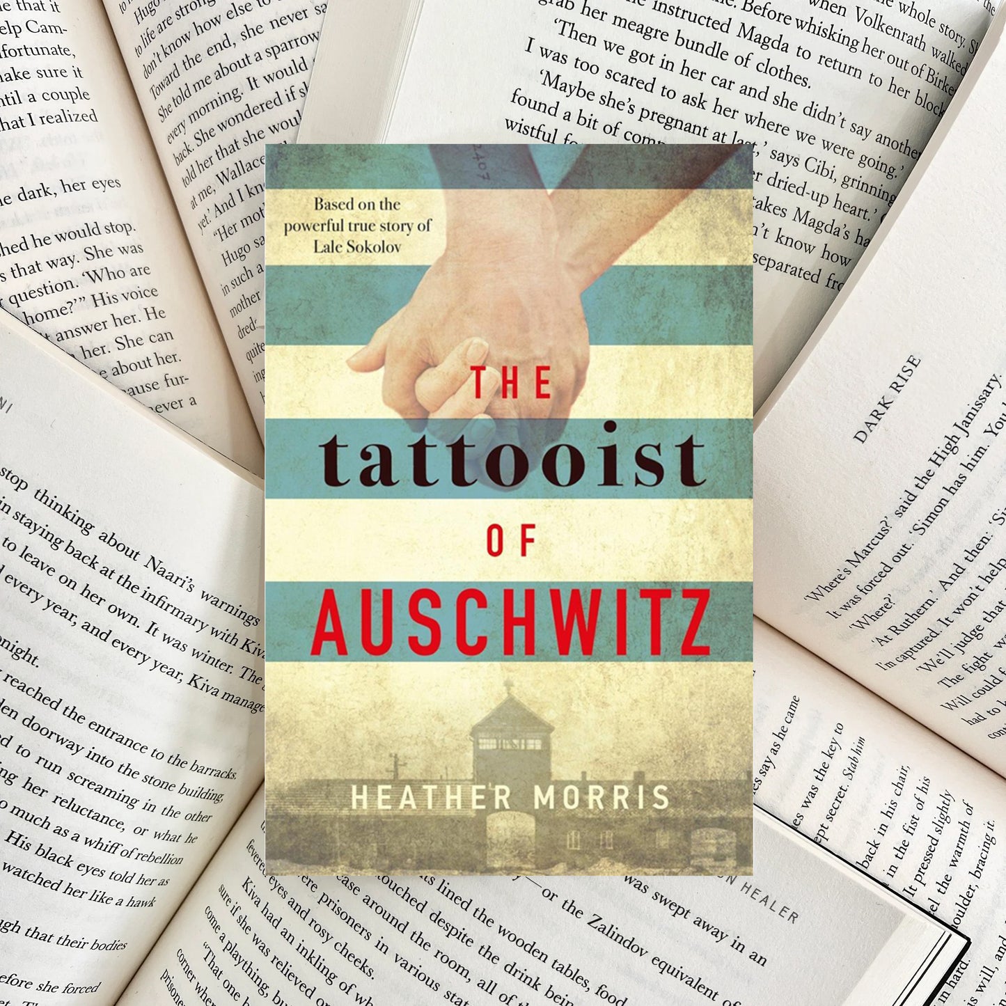 The Tattooist of Auschwitz By Heather Morris (SECOND-HAND) - The Albright Library
