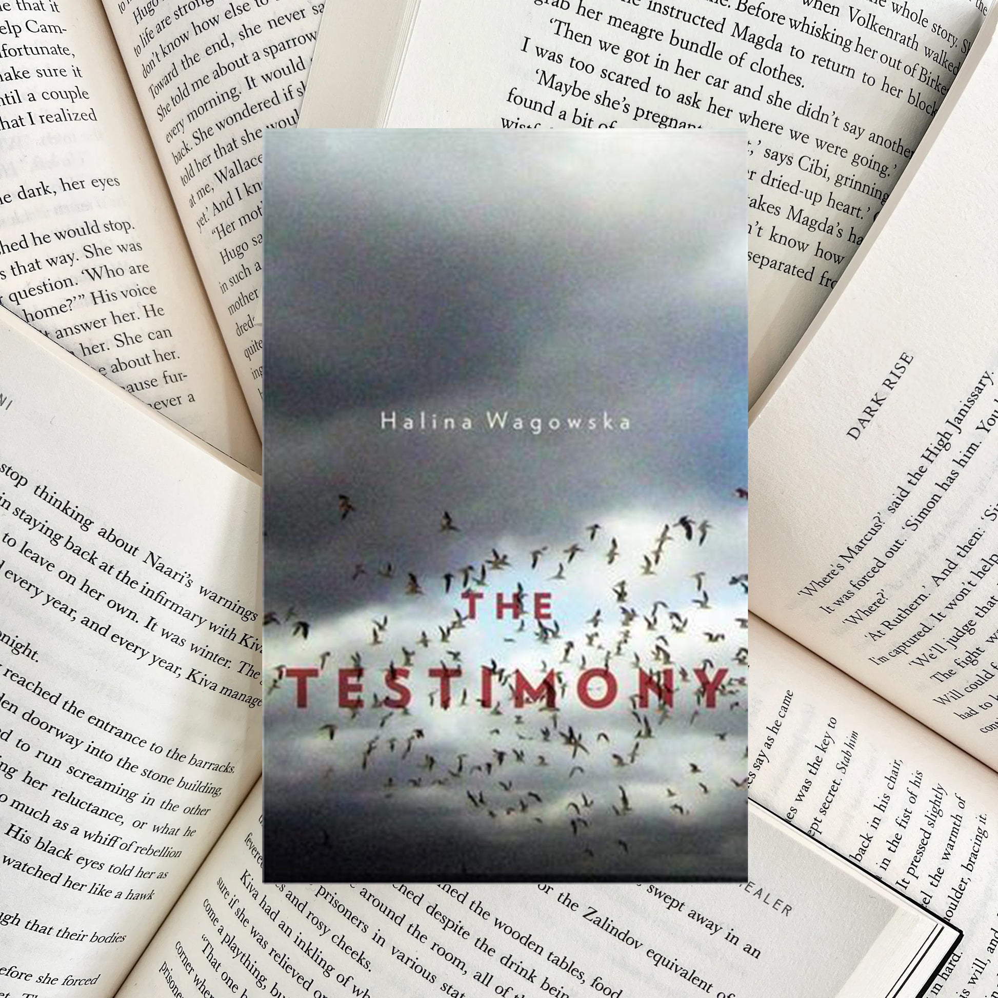 The Testimony By Halina Wagowska (SECOND-HAND) - The Albright Library