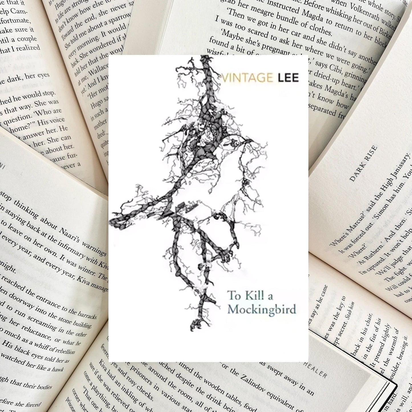 To Kill a Mockingbird By Harper Lee (SECOND-HAND) - The Albright Library