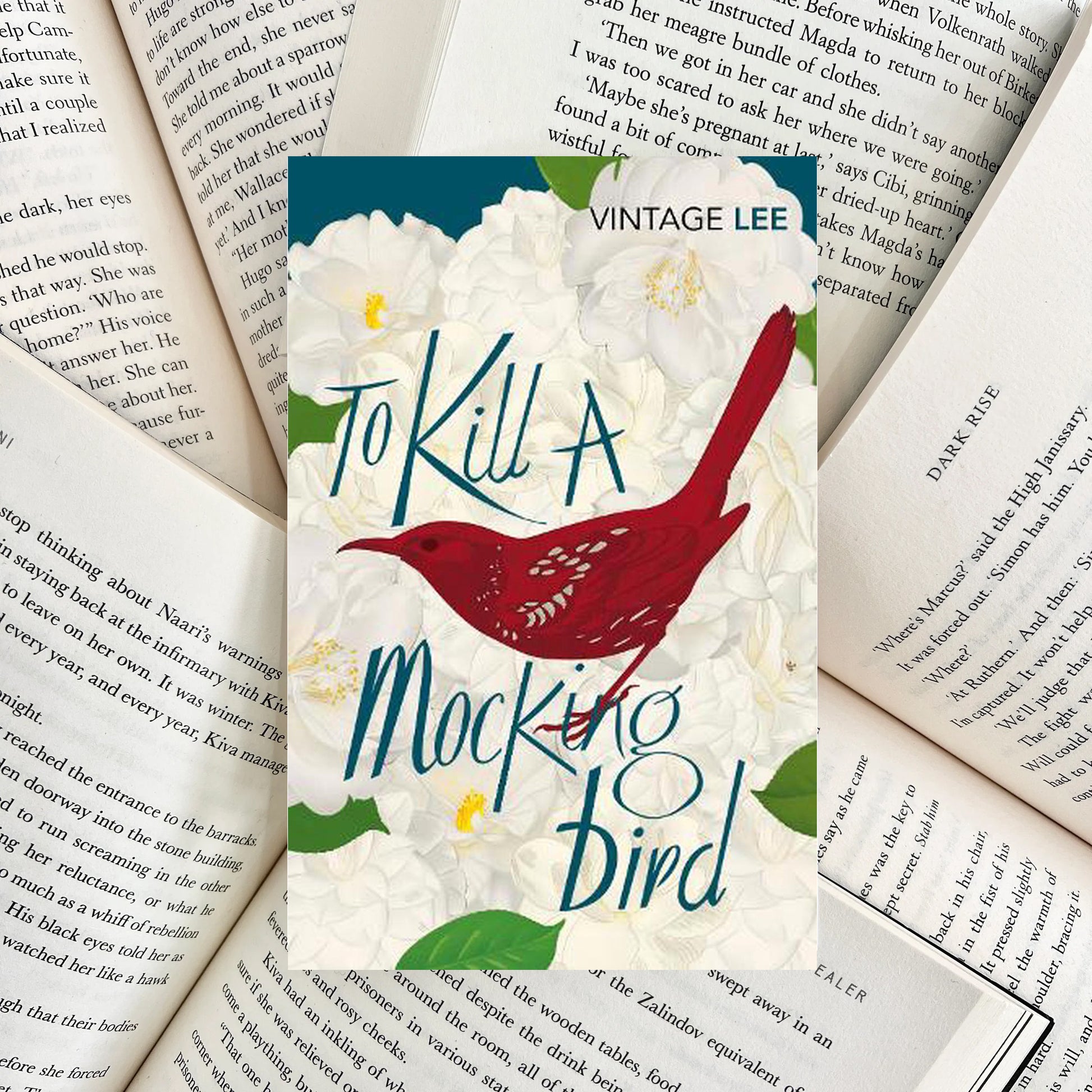 To Kill a Mockingbird By Harper Lee (SECOND-HAND) - The Albright Library