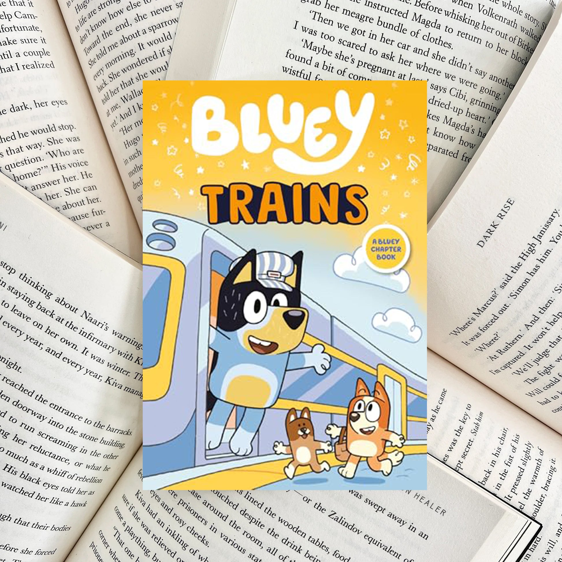 Trains By Bluey (SECOND-HAND) - The Albright Library