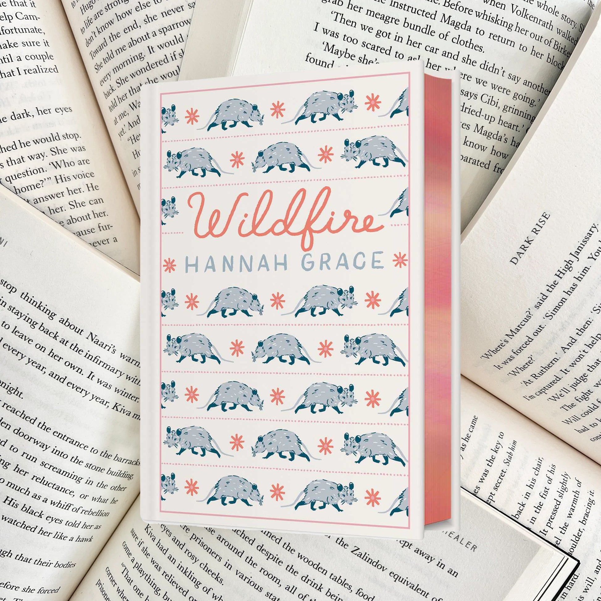 Wildfire By Hannah Grace SPECIAL EDITION HARDBACK (NEW) - The Albright Library