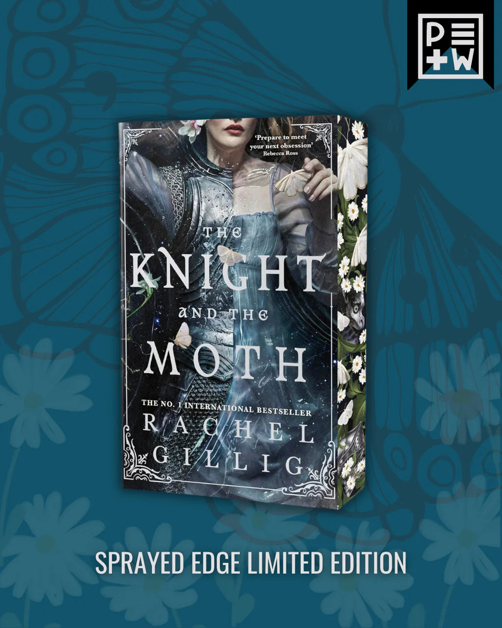 The Knight and the Moth By Rachel Gillig (NEW)