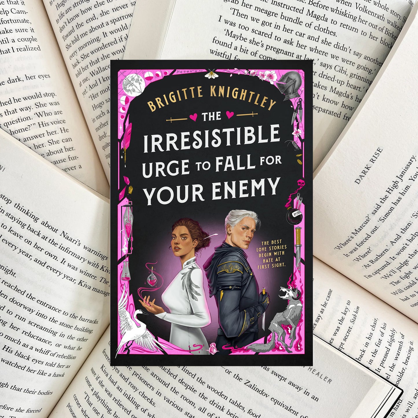 The Irresistible Urge to Fall For Your Enemy By Brigitte Knightley (NEW)