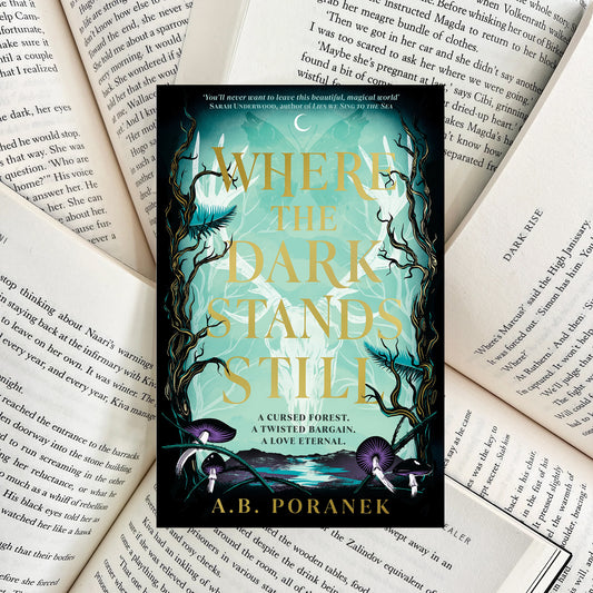 Where the Dark Stands Still By A.B. Poranek (SECOND-HAND)