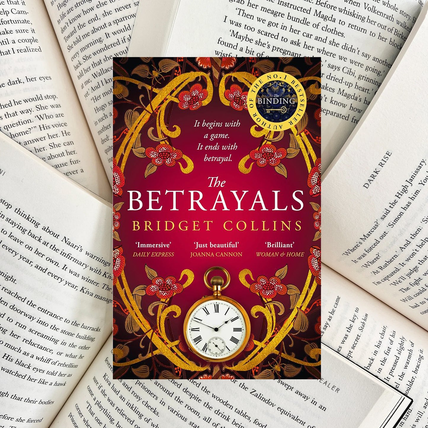 The Betrayals By Bridget Collins (NEW)