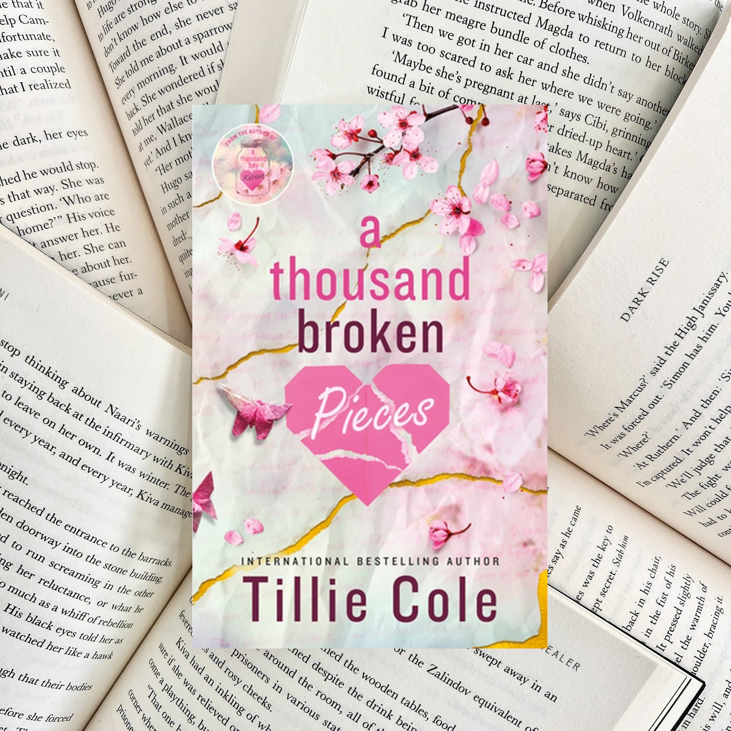 A Thousand Broken Pieces By Tillie Cole (NEW)