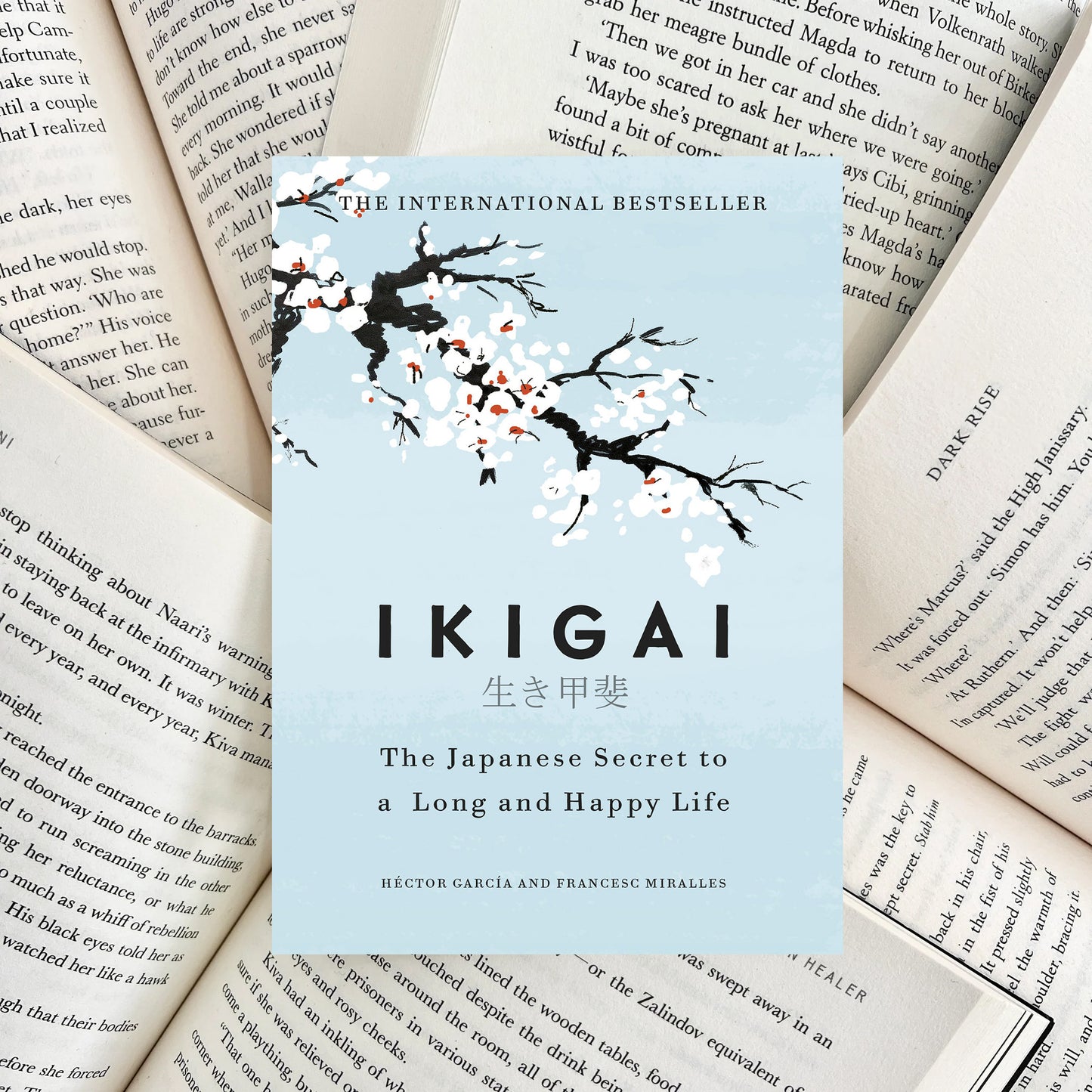 Ikigai: The Japanese Secret to a Long and Happy Life By Héctor García (SECOND-HAND)