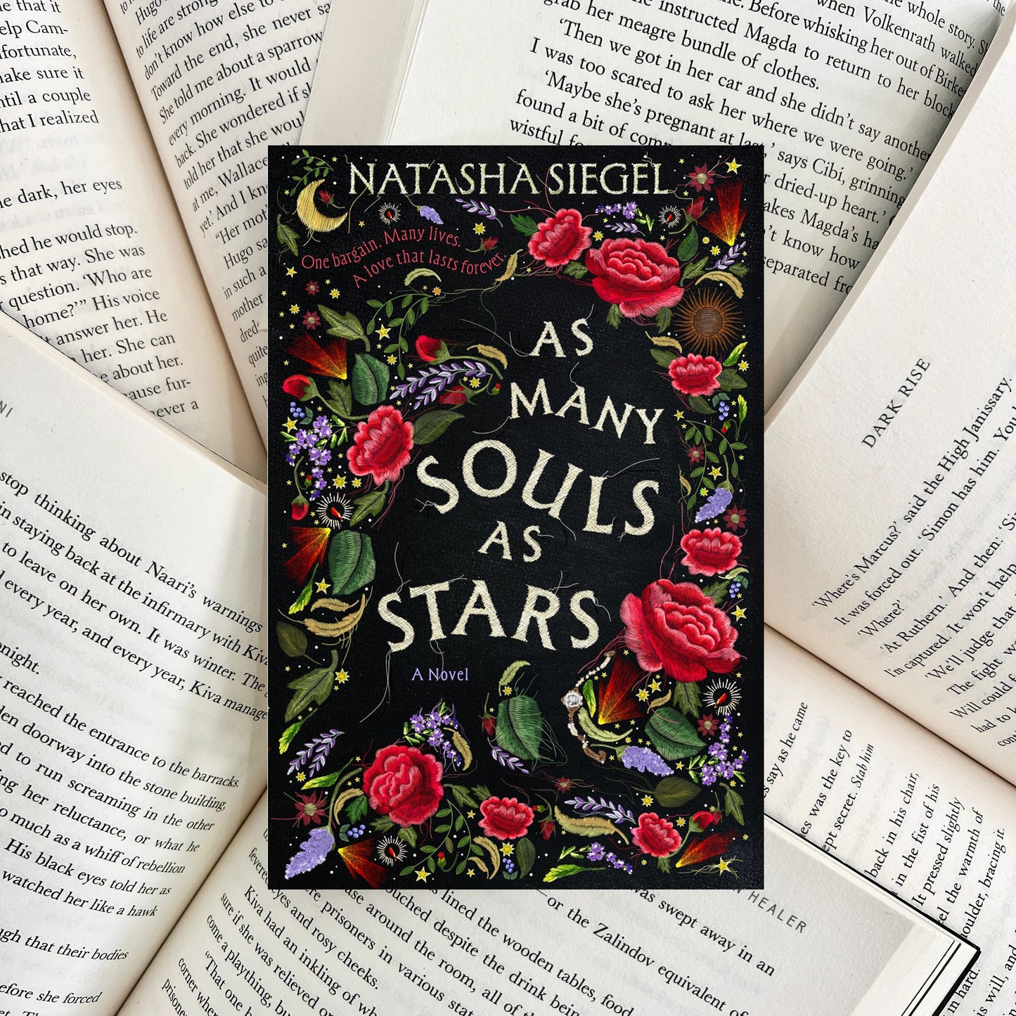 As Many Souls as Stars By Natasha Siegel (NEW)