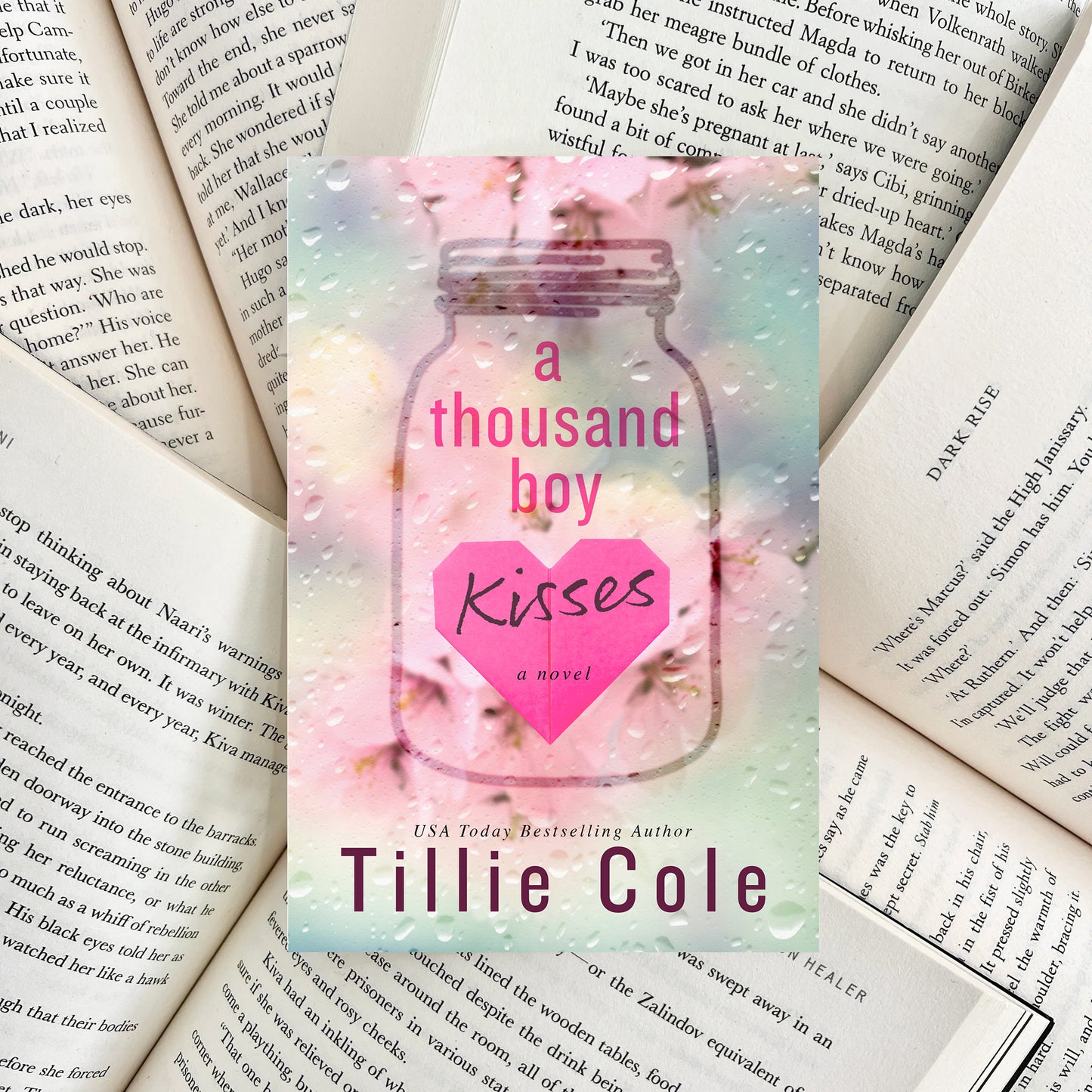 A Thousand Boy Kisses By Tillie Cole (SECOND-HAND)