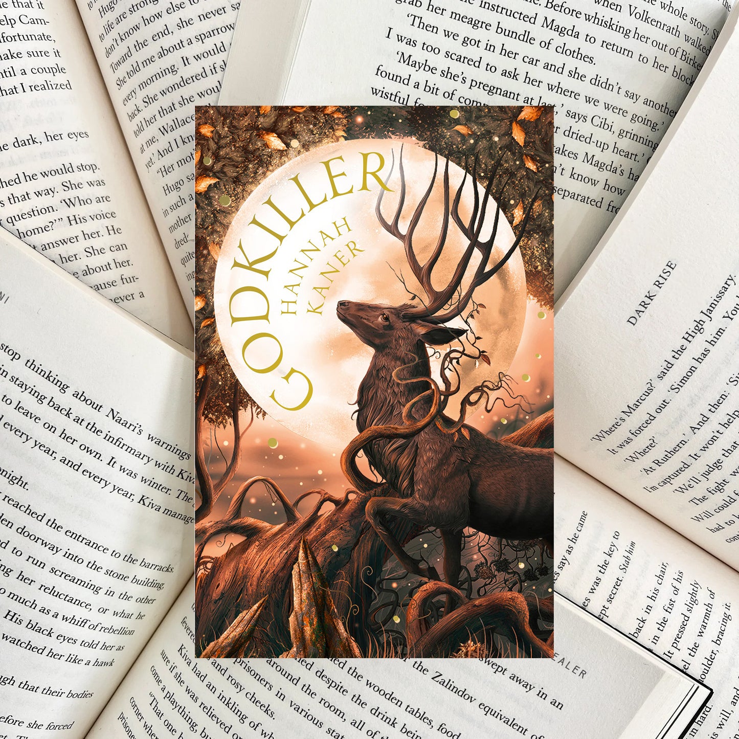 Godkiller By Hannah Kaner (NEW)