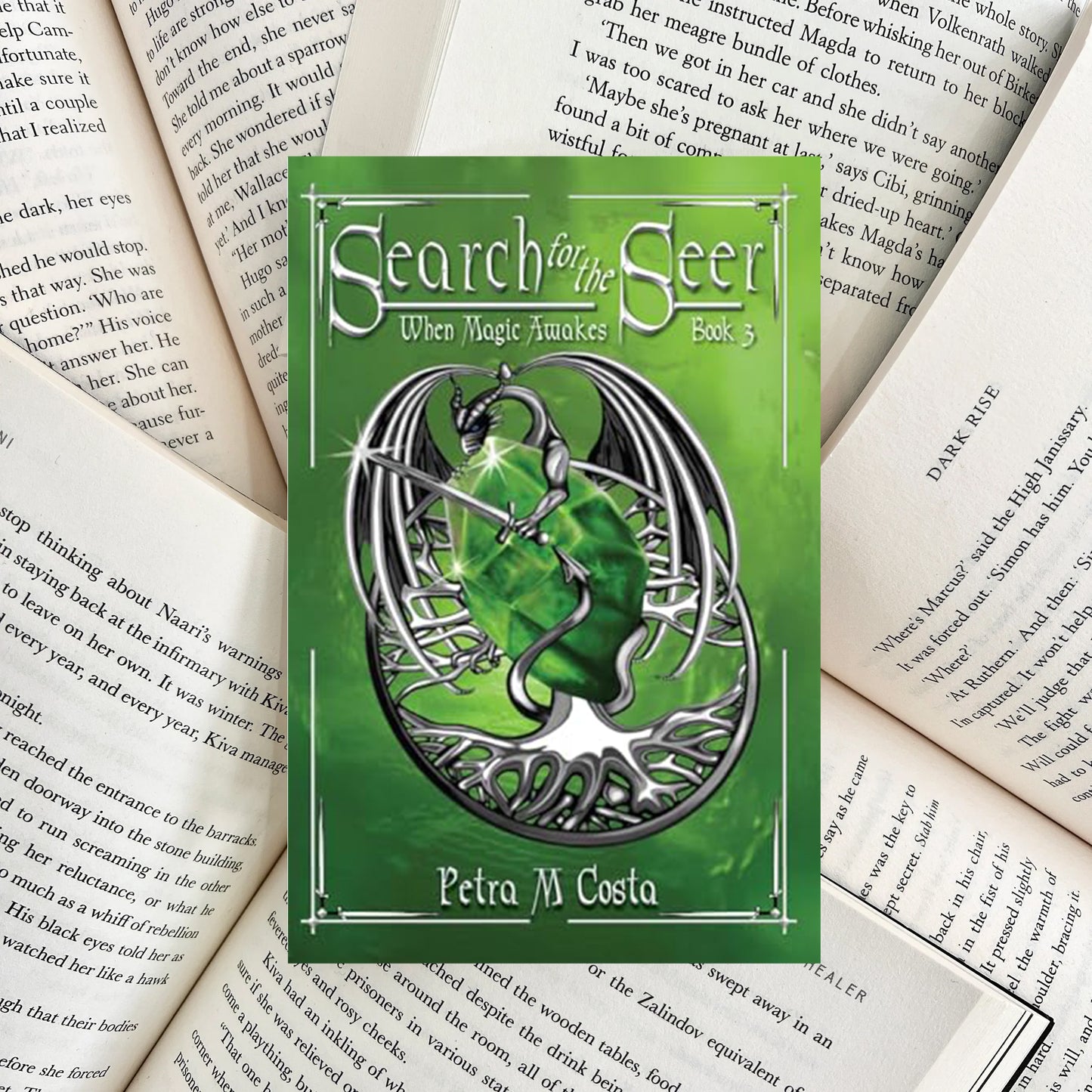 Search for the Seer By Petra Costa (NEW)