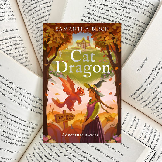 Cat Dragon By Samantha Birch (SECOND-HAND)