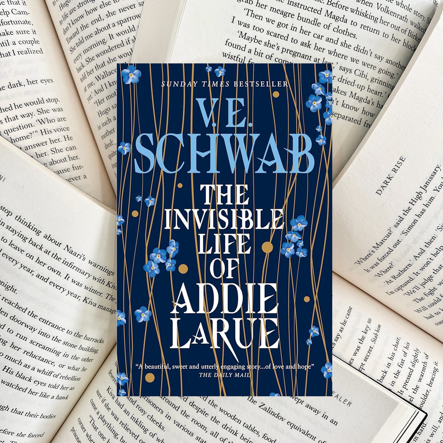The Invisible Life of Addie LaRue By V.E. Schwab (SECOND-HAND)