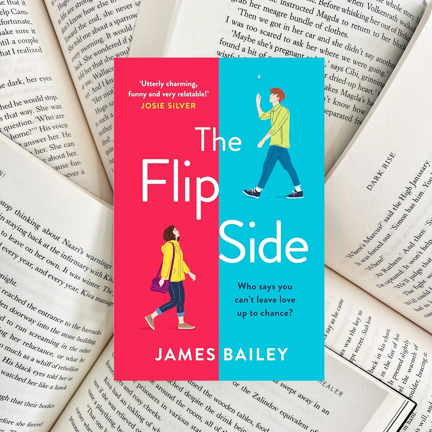 The Flip Side By James Bailey (SECOND-HAND)