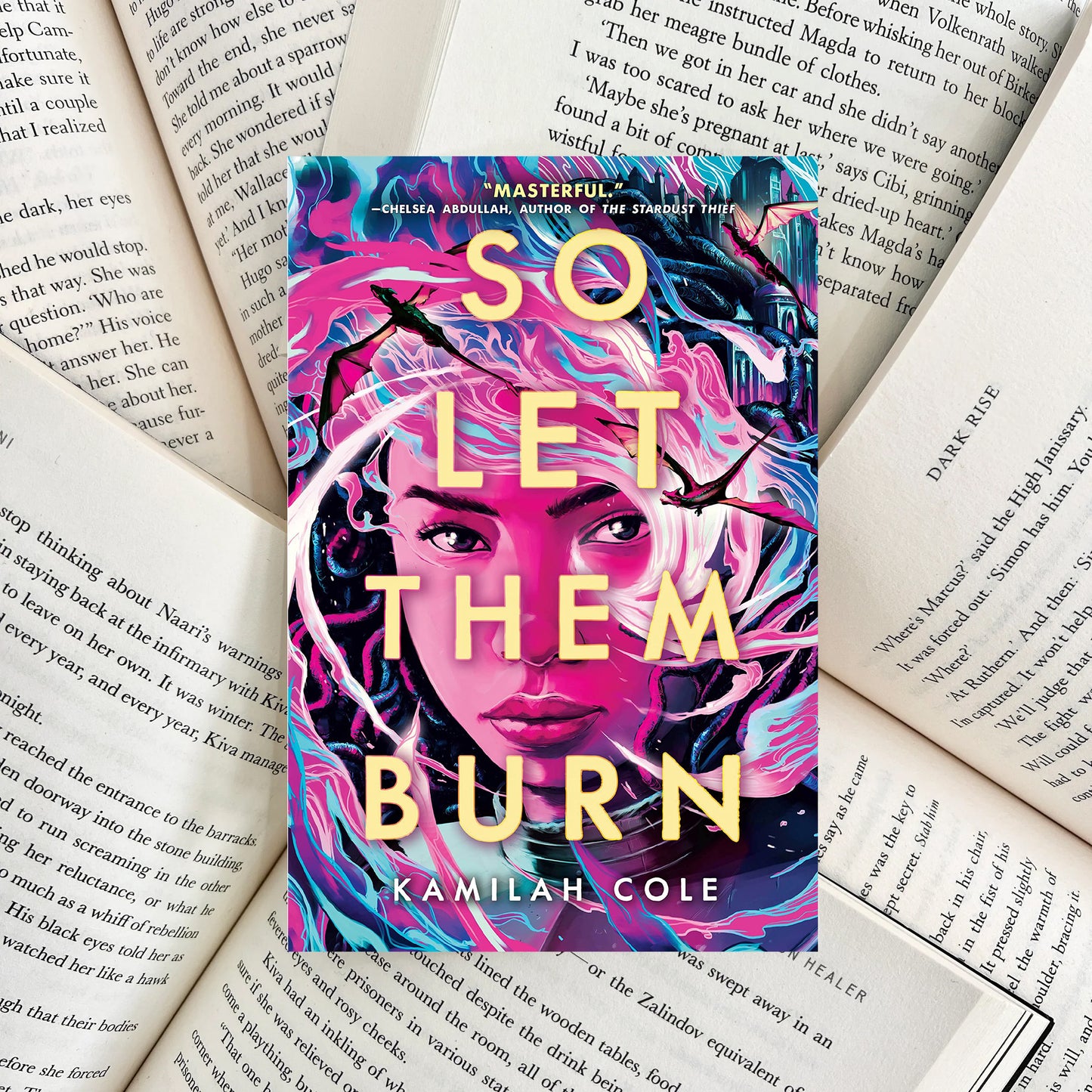 So Let Them Burn By Kamilah Cole (SECOND-HAND)