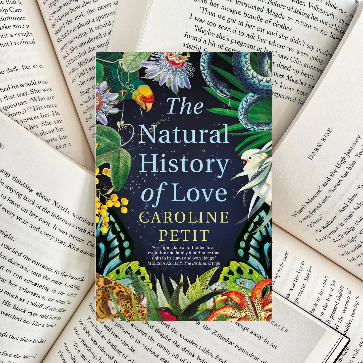 The Natural History of Love By Caroline Petit (SECOND-HAND)