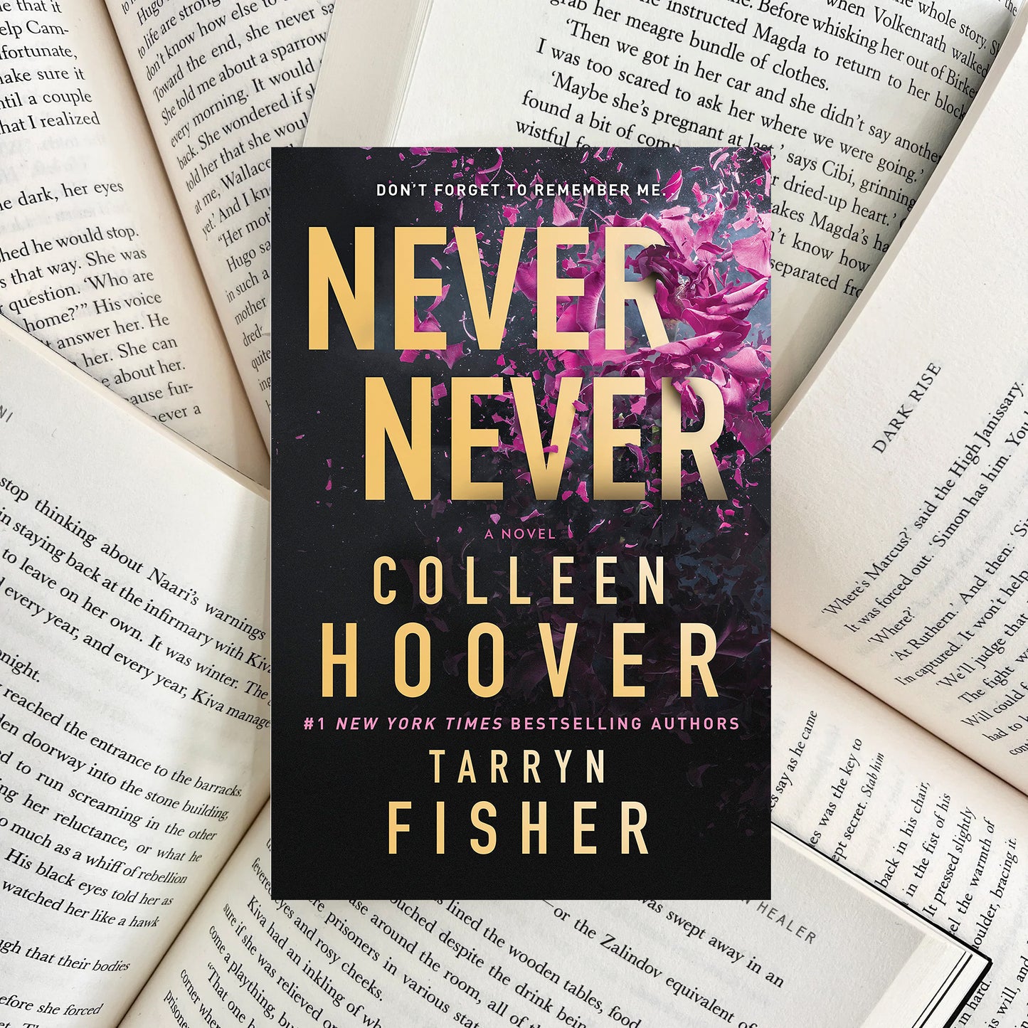 Never Never By Colleen Hoover (SECOND-HAND)