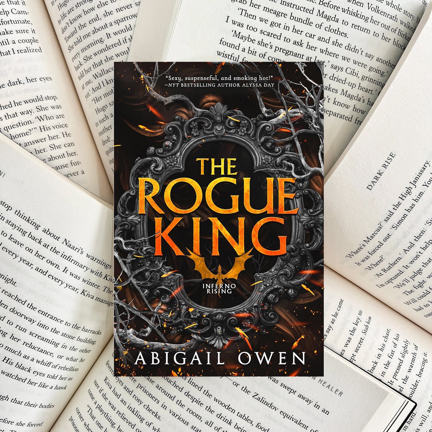 The Rogue King By Abigail Owen (SECOND-HAND)