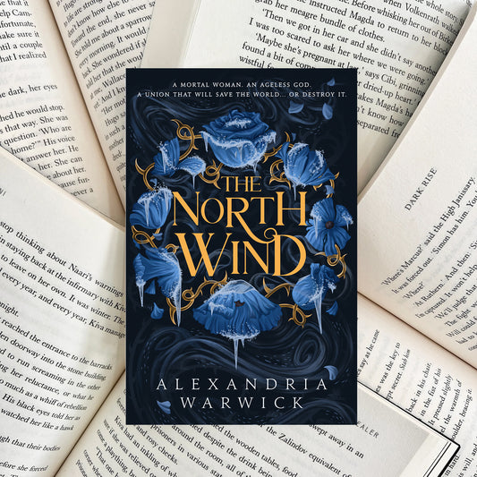 The North Wind By Alexandria Warwick (SECOND-HAND)