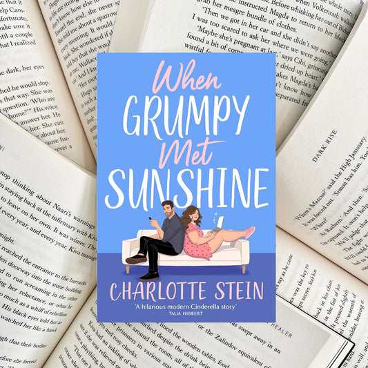 When Grumpy Met Sunshine By Charlotte Stein (NEW)