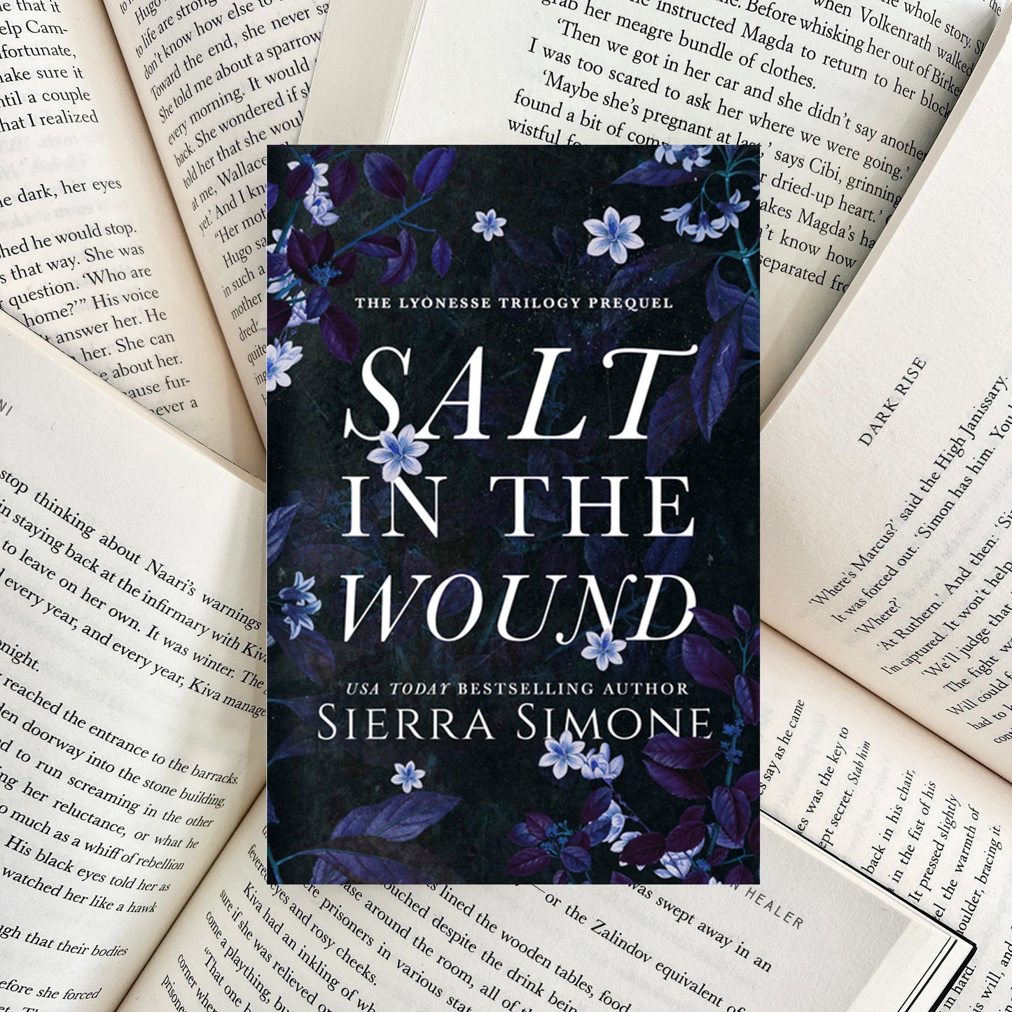 Salt in the Wound By Sierra Simone (SECOND-HAND)