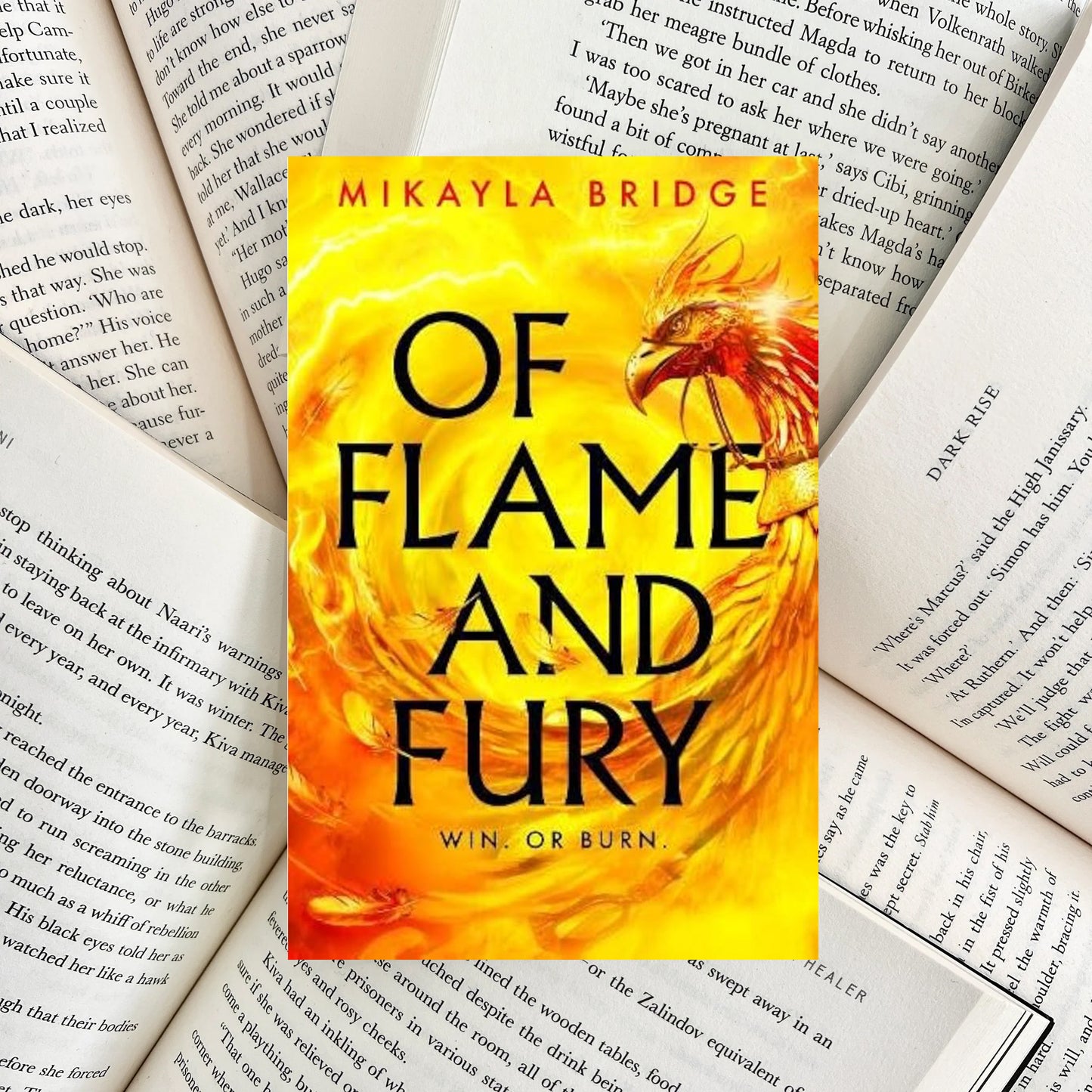 Of Flame and Fury By Mikayla Bridge (NEW)