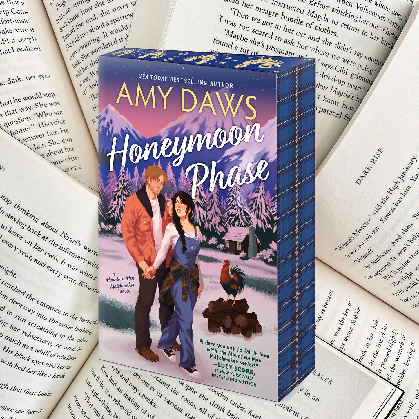 Honeymoon Phase By Amy Daws (NEW)