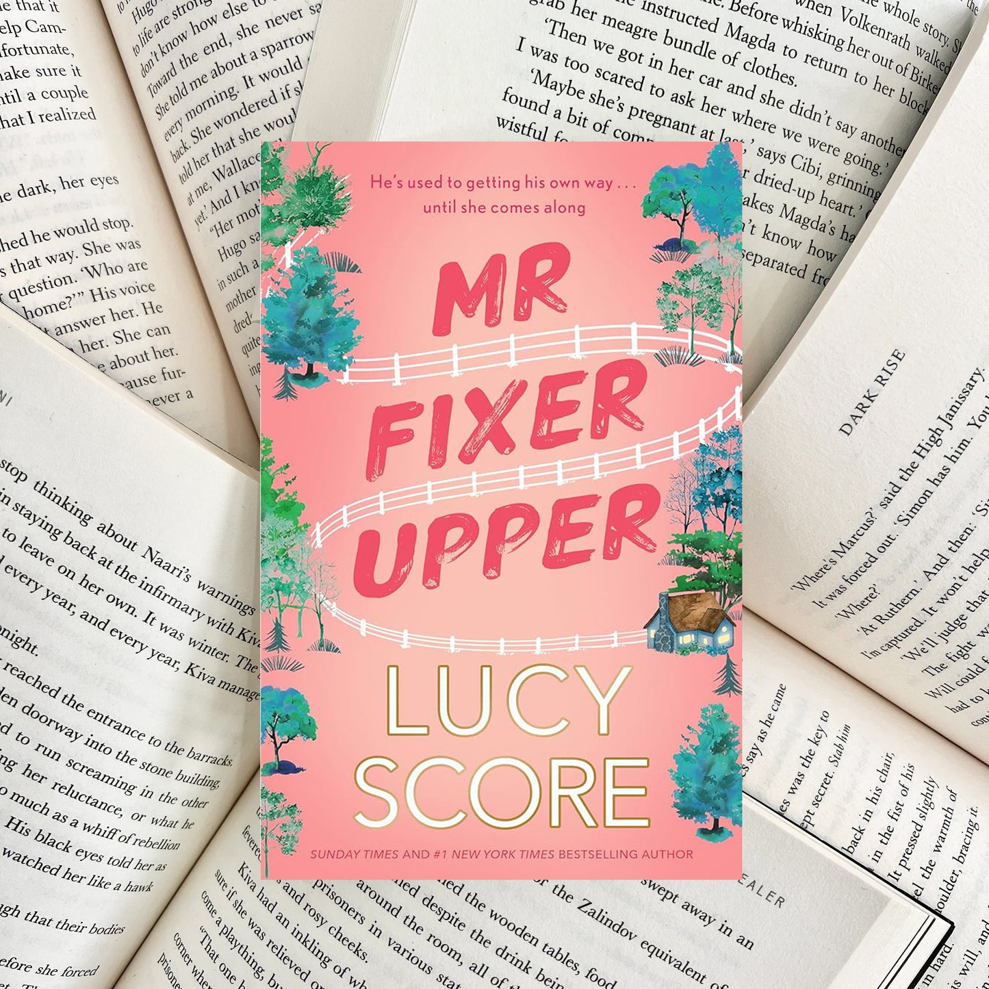 Mr. Fixer Upper By Lucy Score (NEW)
