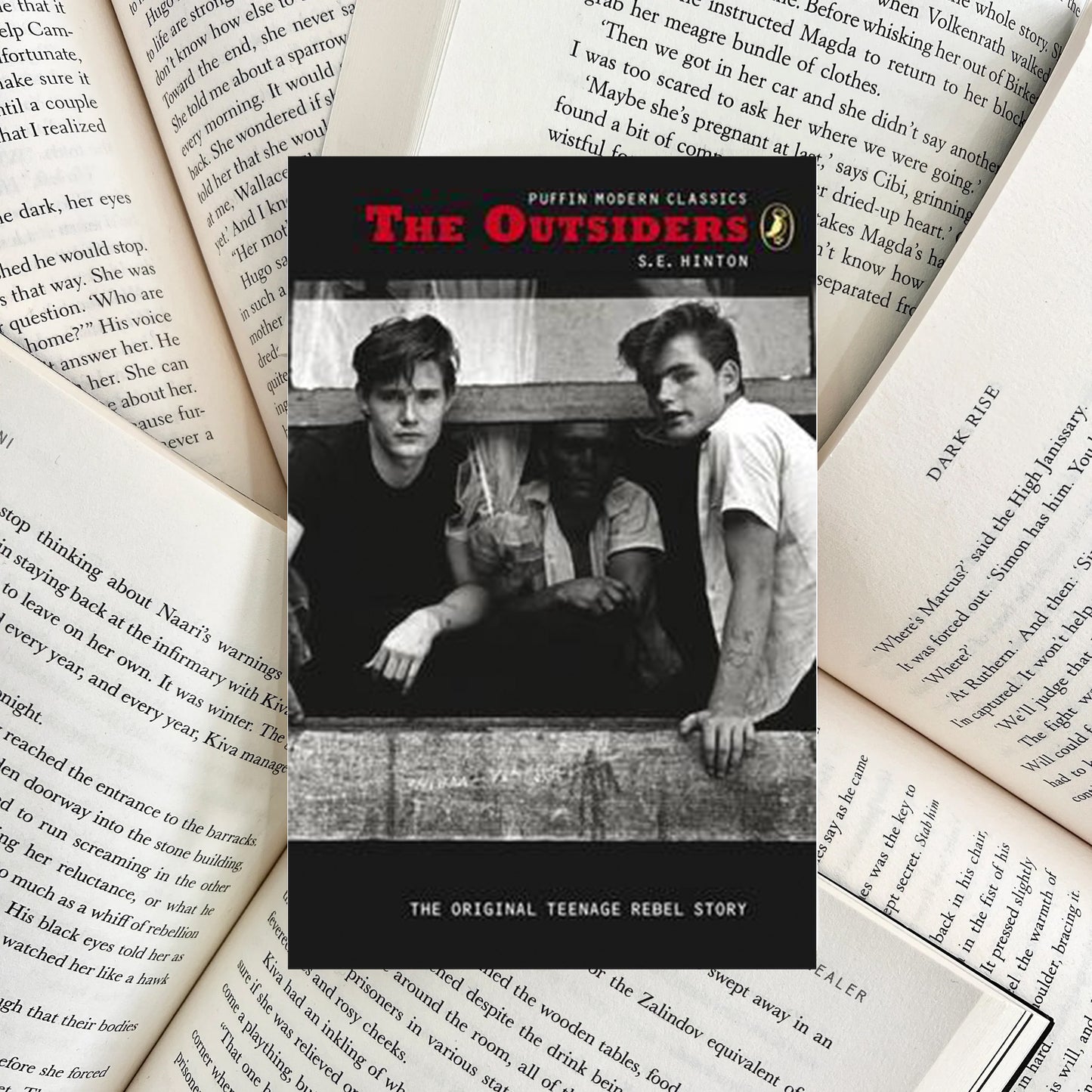 The Outsiders By S.E. Hinton (SECOND-HAND)