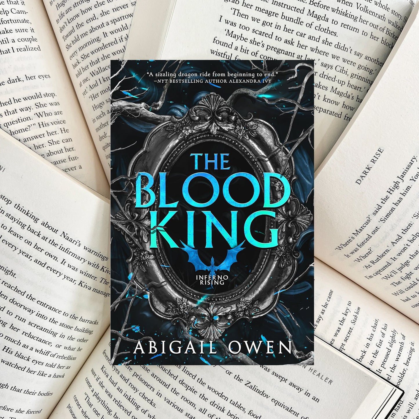 The Blood King By Abigail Owen (SECOND-HAND)