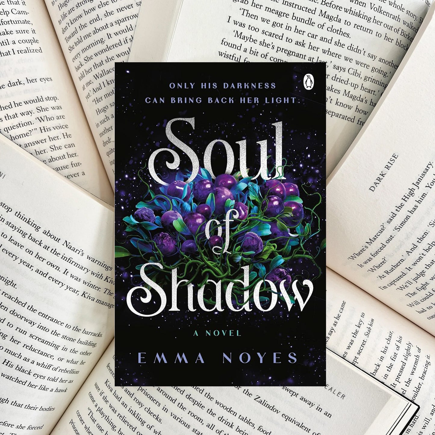 Soul of Shadow By Emma Noyes (NEW)