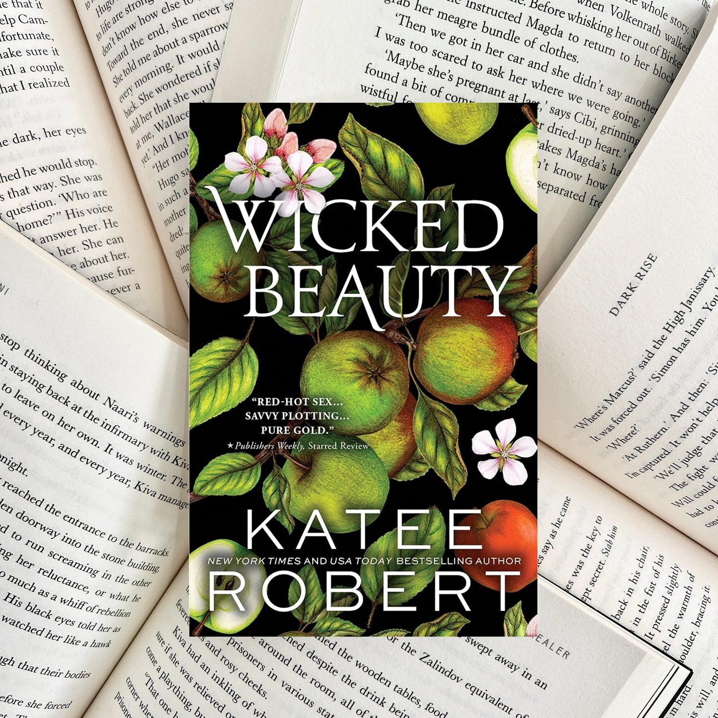 Wicked Beauty By Katee Robert (SECOND-HAND)