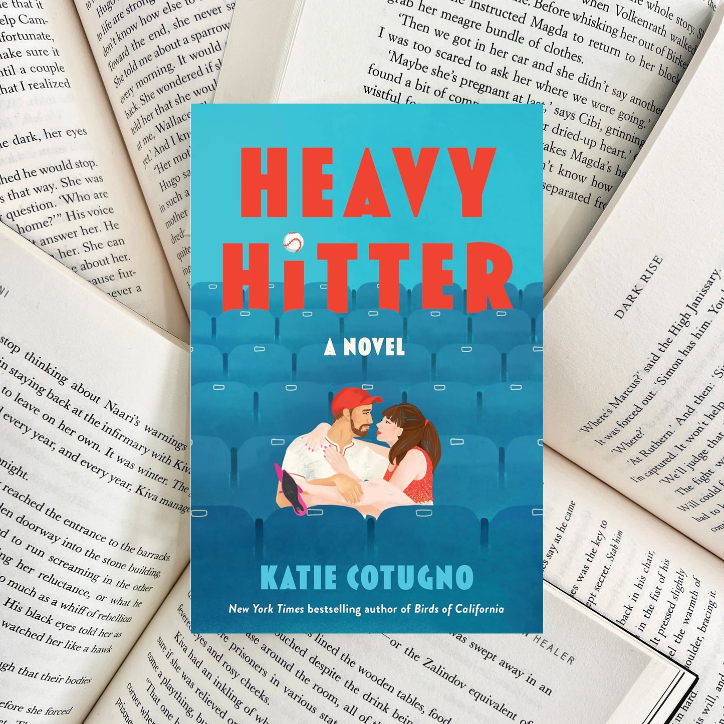 Heavy Hitter By Katie Cotugno (SECOND-HAND)