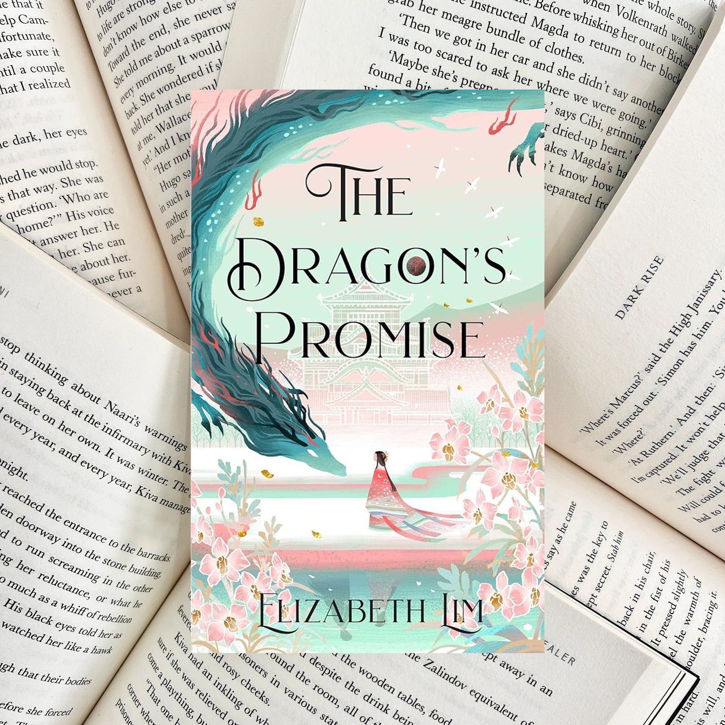 The Dragon's Promise By Elizabeth Lim (SECOND-HAND)
