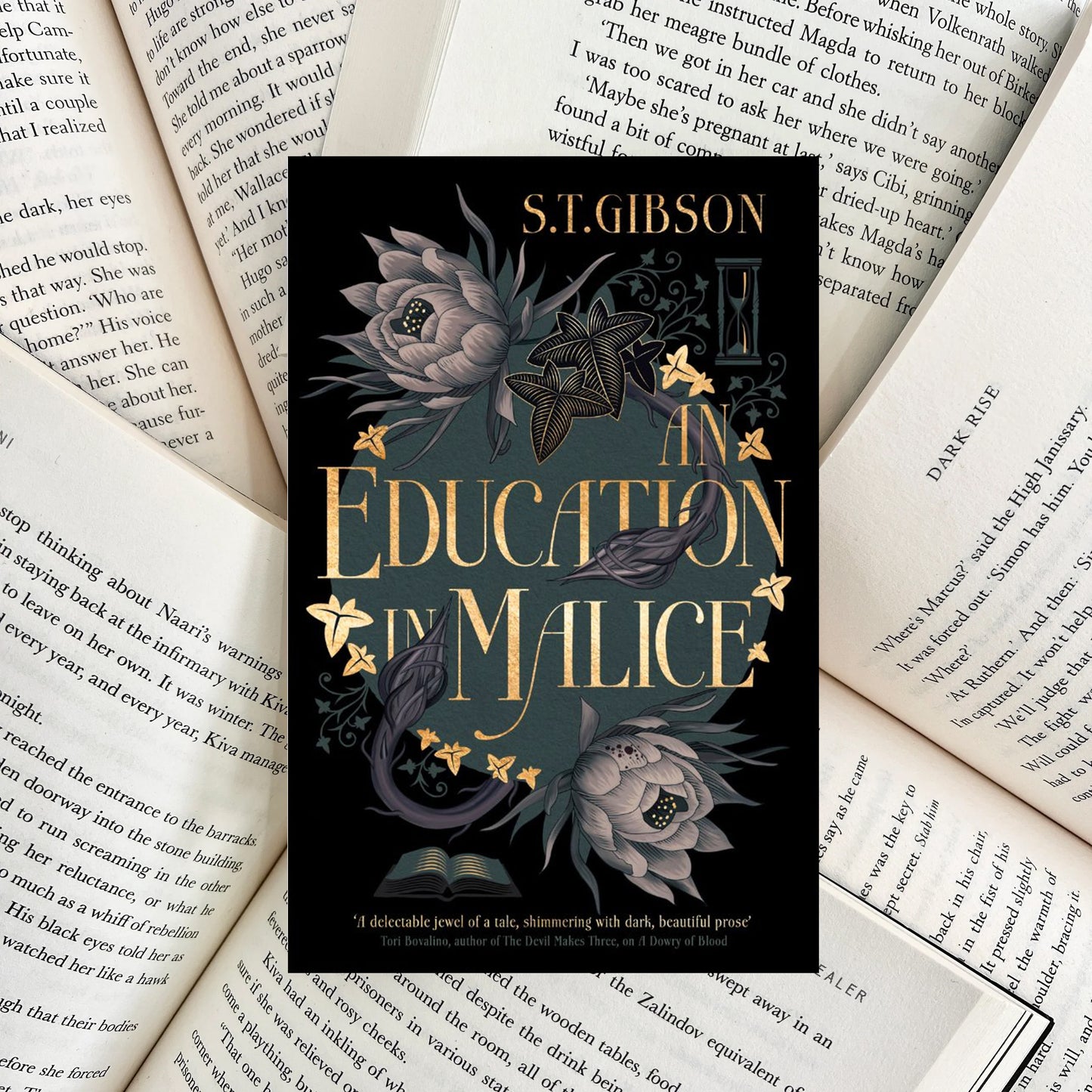 An Education in Malice By S.T. Gibson (SECOND-HAND)