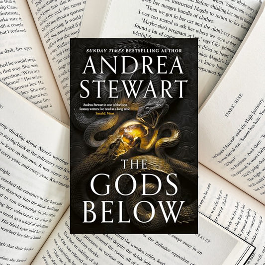 The Gods Below By Andrea Stewart (NEW)