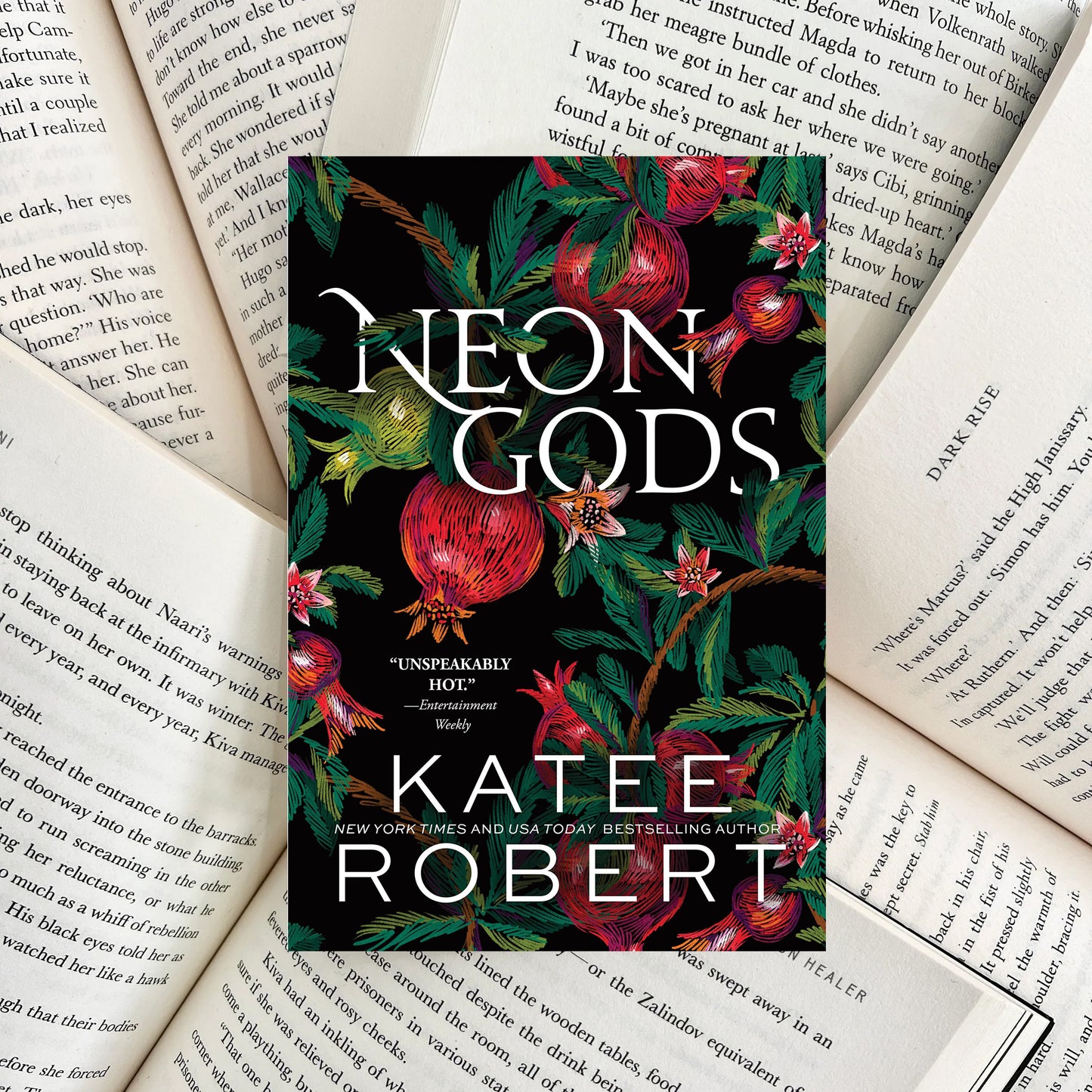 Neon Gods By Katee Robert (SECOND-HAND)