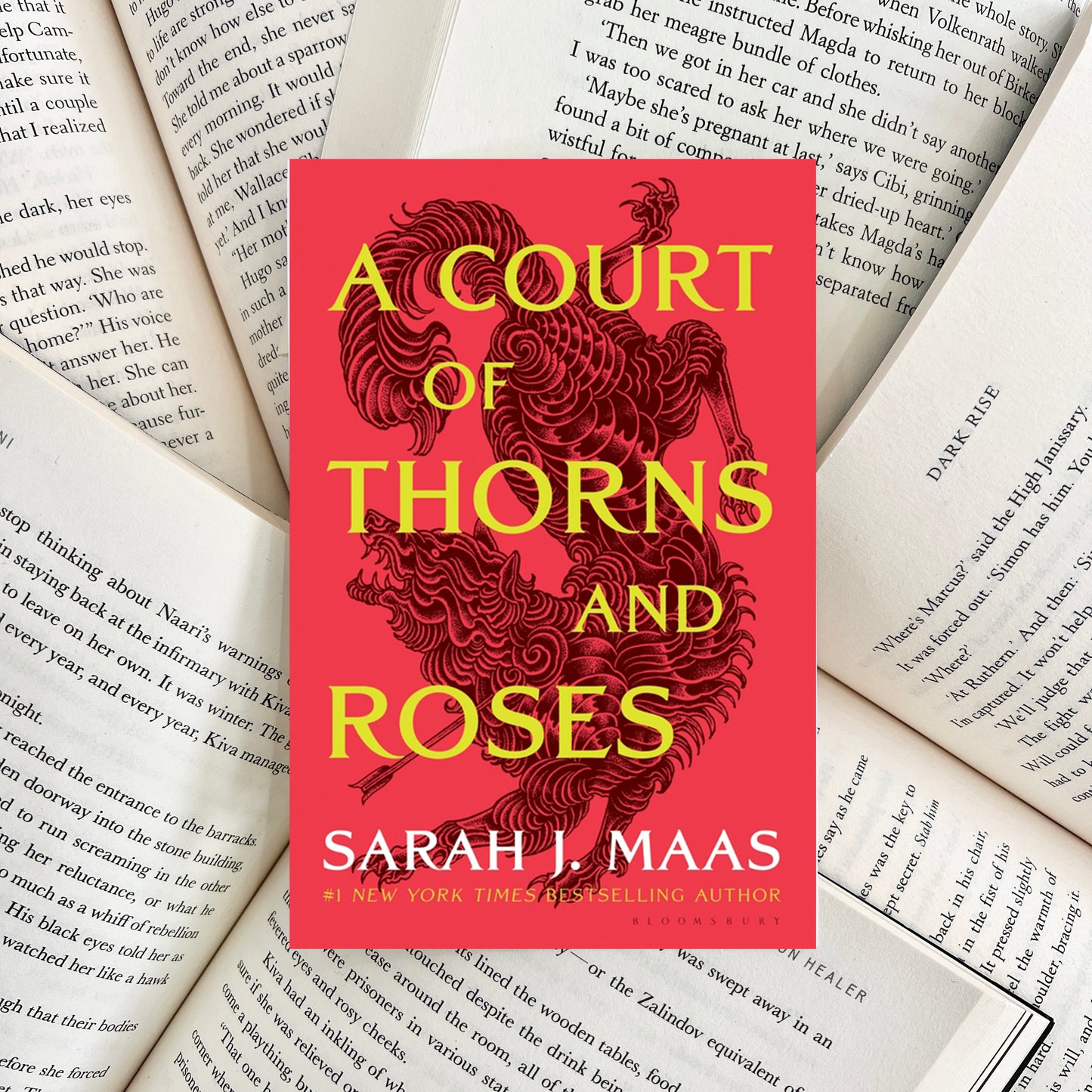A Court of Thorns and Roses By Sarah J. Maas (NEW) - The Albright Library