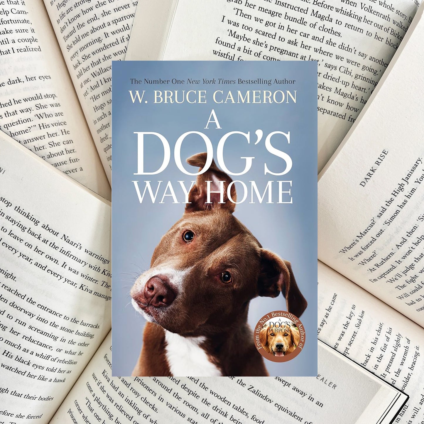 A Dog's Way Home By W. Bruce Cameron (SECOND-HAND)