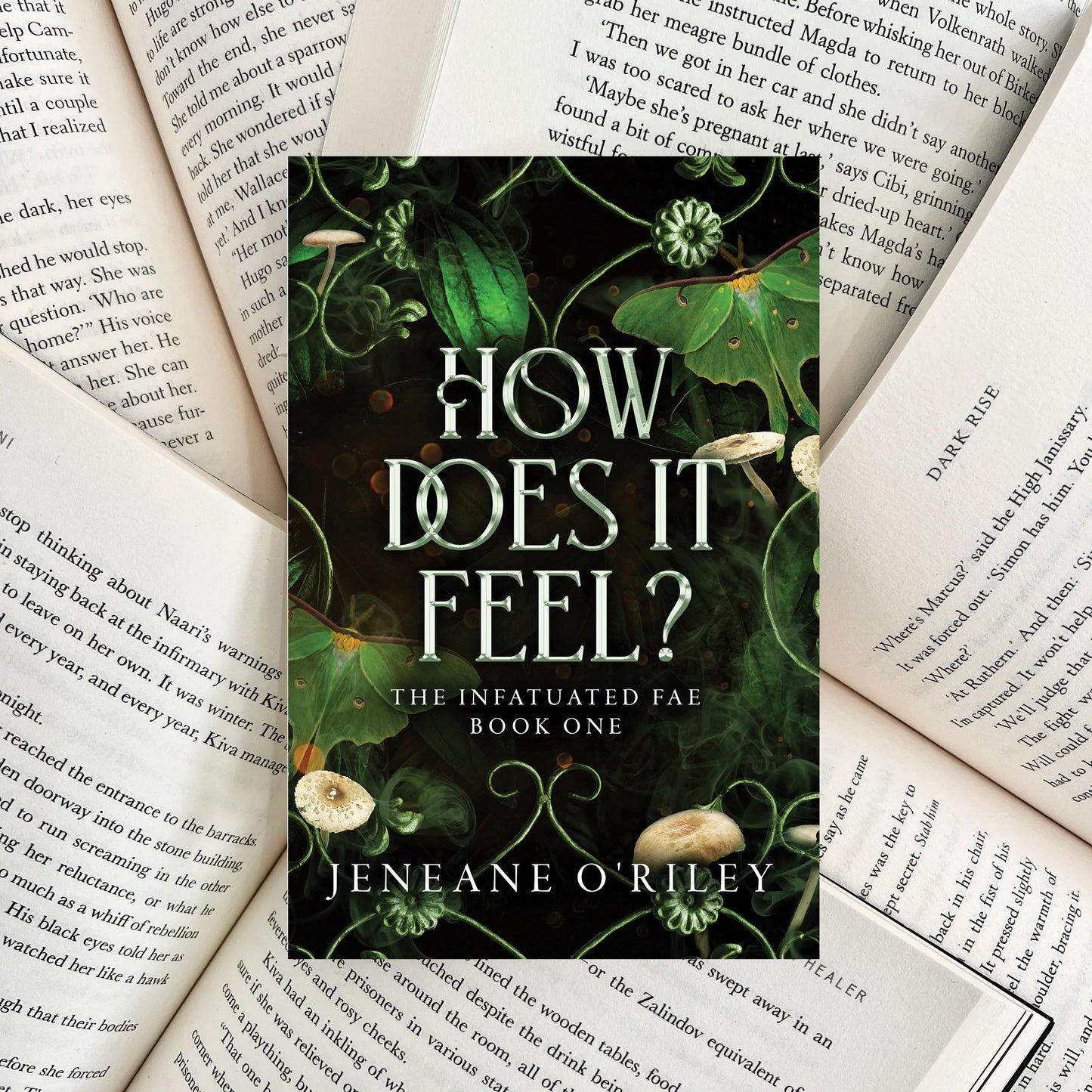 How Does It Feel? By Jeneane O'Riley (SECOND-HAND)