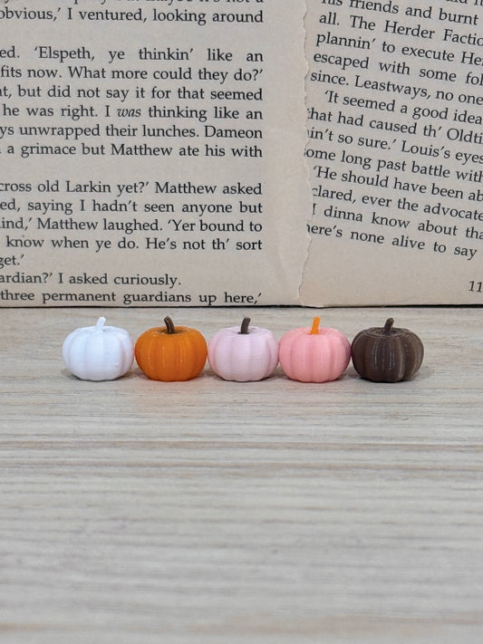 Mini Bookcase Pumpkin Decor